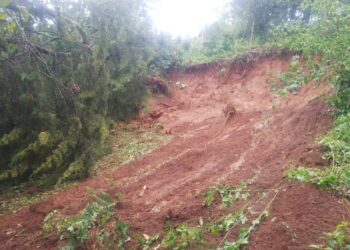 WALUNGU : Les pluies diluviennes causent des dégâts matériels à Kaniola