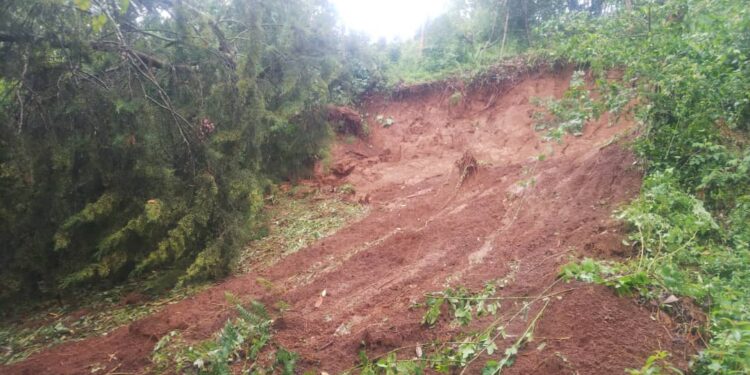 WALUNGU : Les pluies diluviennes causent des dégâts matériels à Kaniola