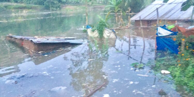 Bukavu : La montée des eaux de la rivière Ruzizi causent des dégâts matériels à Panzi et à Buhozi, plus de 100 maisons englouties (société civile)