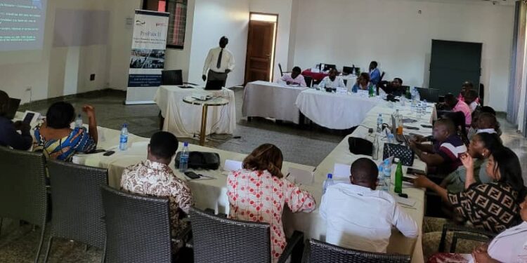 Goma : La GIZ renforce les capacités des journalistes sur les discours de haine et sa déconstruction