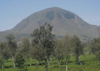 Walungu : Un corps sans vie d’un quinquagénaire retrouvé entre Ibanda et Cebeya à Luciga