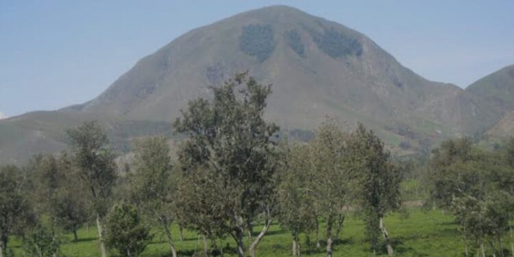 Walungu : Un corps sans vie d’un quinquagénaire retrouvé entre Ibanda et Cebeya à Luciga