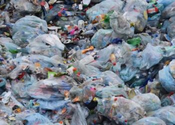 Environnement : Les déchets et sacs plastiques présentent un danger permanent environnemental aux usagers 