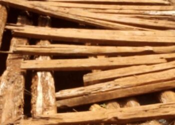 Walungu : la communication entre les groupements d’Ikoma et Lurhala menacée de coupure 