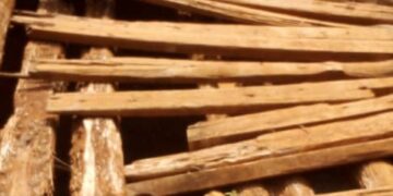 Walungu : la communication entre les groupements d’Ikoma et Lurhala menacée de coupure 