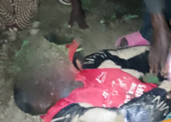 Nyangezi : Des inconnus mettent fin à la vie d’un jeune homme d’une vingtaine d’années à Ishamba