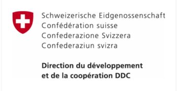 Sud-Kivu : les consortiums dans le programme PCPC présentent aux nouveaux managers de la DDC en RDC les aspects pivots des activités à réaliser