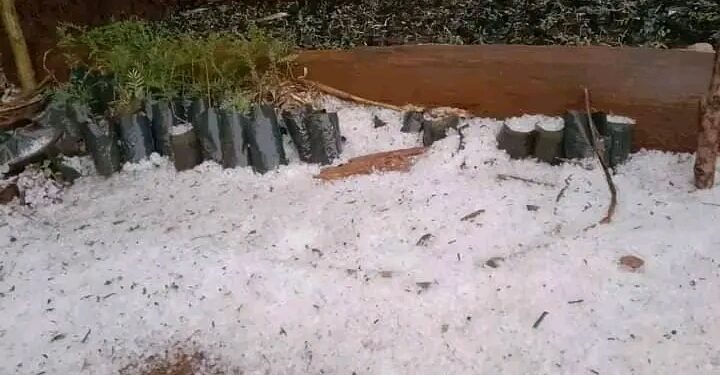 Walungu : Des fortes pluies, la grêle et un vent violent dévastent des plantes et détruisent des maisons à Ciherano