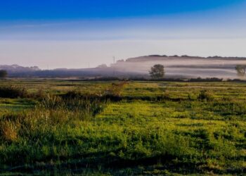 Nyangezi : des marais moins exploités, une famine prévisible dans les prochains jours
