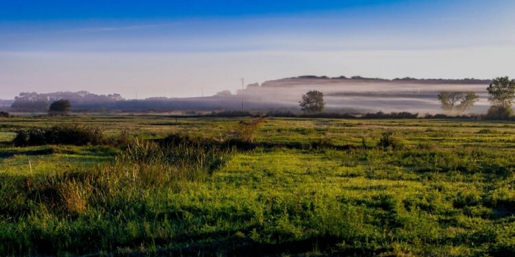 Nyangezi : des marais moins exploités, une famine prévisible dans les prochains jours