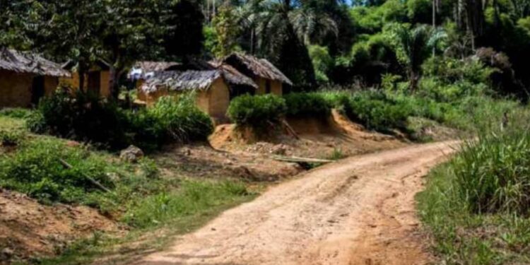 Nord-Kivu : Six morts et un village incendié après des attaques attribuées à l’ADF à Lubero