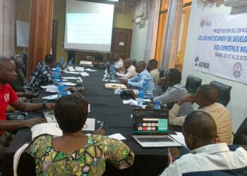 Sud-Kivu: 15 journalistes formés sur le développement et production des contenus médiatiques
