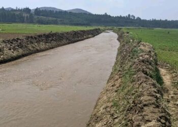 Mudusa : lutte contre l’insécurité alimentaire, la société civile lance des travaux de drainage des marrains