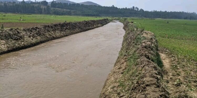 Mudusa : lutte contre l’insécurité alimentaire, la société civile lance des travaux de drainage des marrains