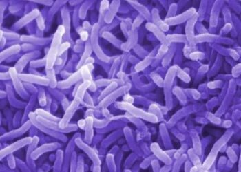 Kabare : entre épidémie de Choléra et crise alimentaire, la population de Kadjucu dans le désespoir