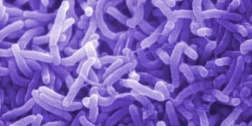 Kabare : entre épidémie de Choléra et crise alimentaire, la population de Kadjucu dans le désespoir