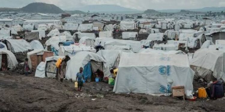 Fizi : Plus de 363 800 déplacés internes vivent depuis octobre dernier dans un extrême désespoir