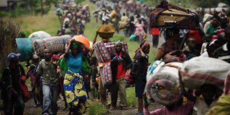 Mwenga : l’asbl FJEP alerte sur la dégradation de la situation humanitaire suite aux récents affrontements