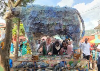 ‎Mois vert : plus de 41 000 bouteilles plastiques transformées en œuvres d&rsquo;art urbaines spectaculaires à Bukavu  ‎