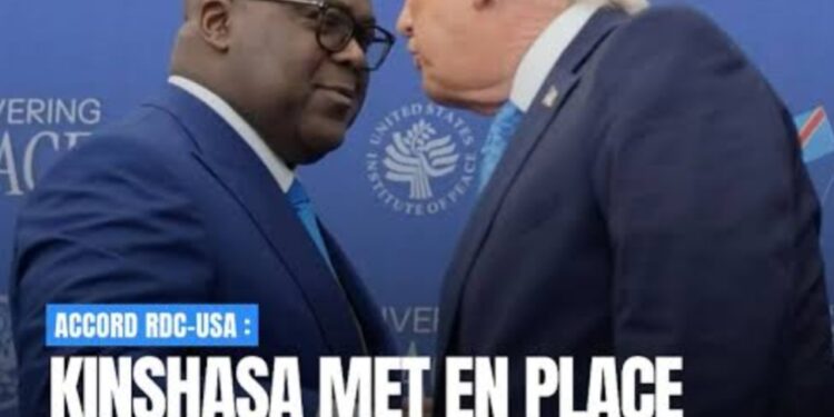 RDC : arrivée du premier contingent de ressortissants de pays tiers, entre interrogations et confusion au sein de l’opinion  ‎