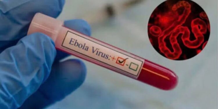 Santé : ‎Les radios communautaires en première ligne contre Ebola ‎