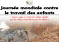 Journée mondiale contre le travail des enfants : RSF Sud-Kivu appelle à bannir toute forme de travail pénible infligé aux enfants 